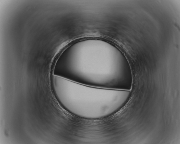 X0000097511168200802220858