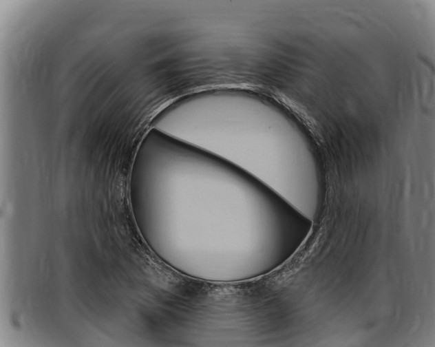 X0000097511169200802220858