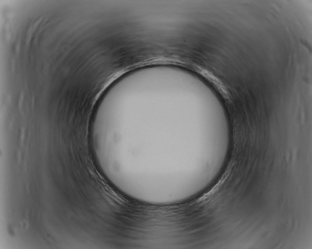 X0000097511170200802220858