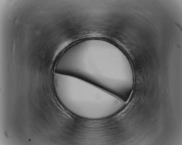 X0000097511171200802220858