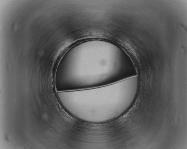 X0000097511172200802220858