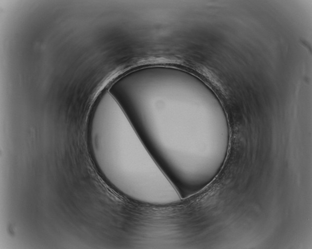 X0000097511173200802220858