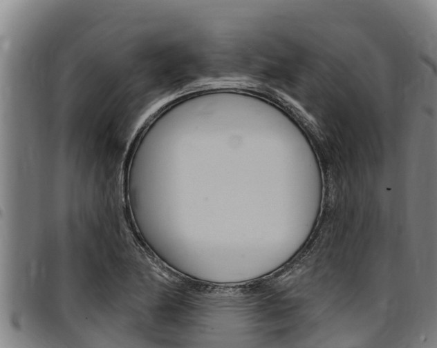 X0000097511174200802220858
