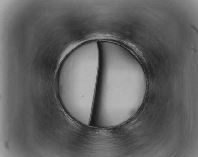 X0000097511175200802220858