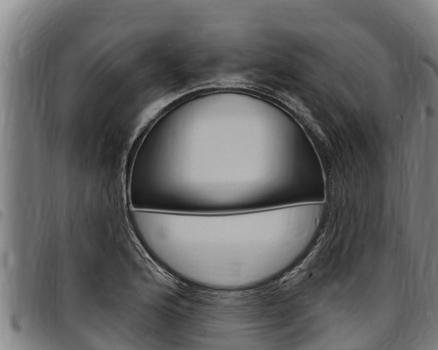 X0000097511176200802220858