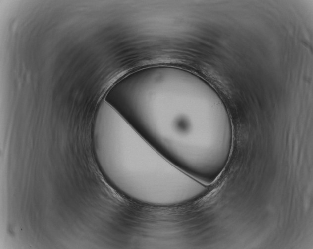 X0000097511177200802220858