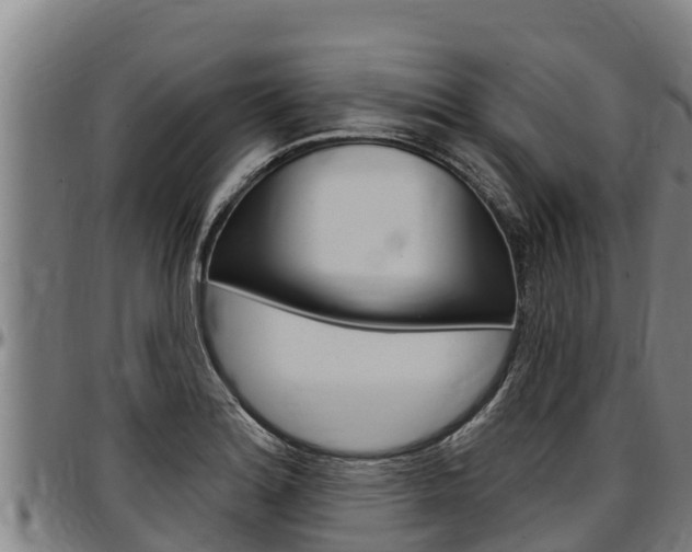 X0000097511180200802220858