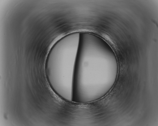X0000097511181200802220858
