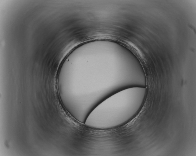 X0000097511182200802220858