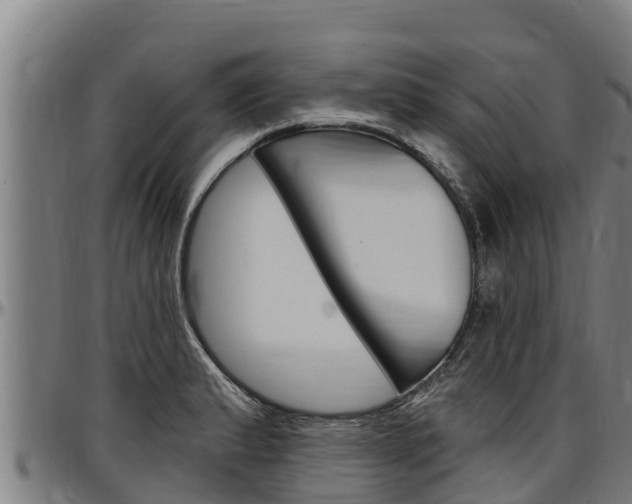 X0000097511183200802220858
