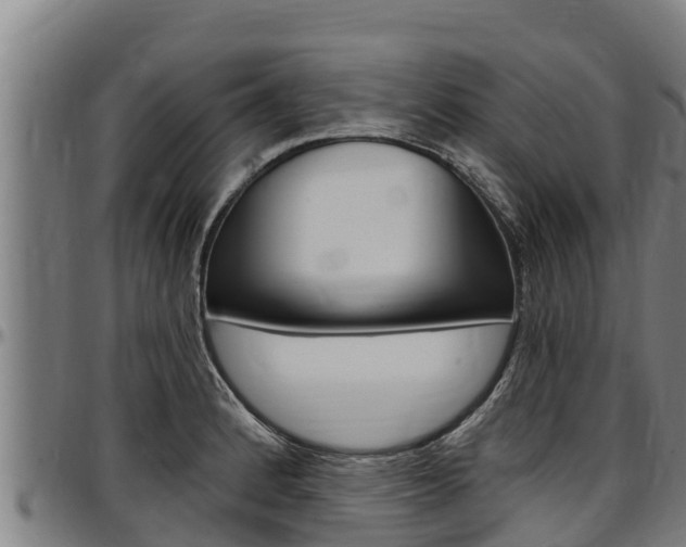 X0000097511184200802220858