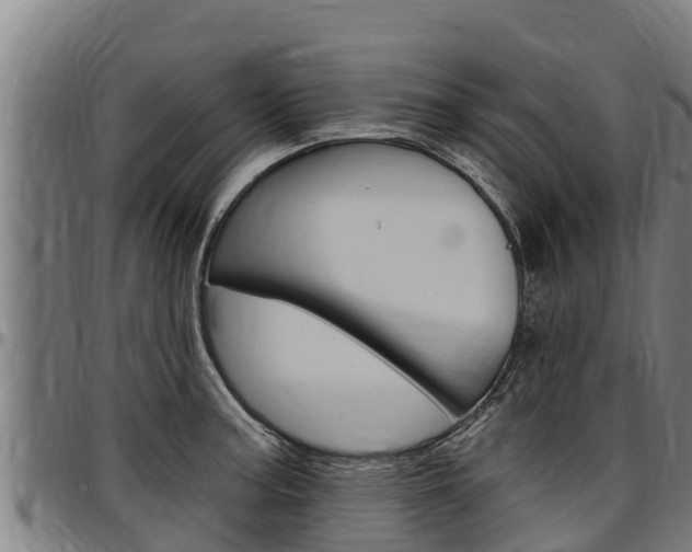 X0000097511187200802220858