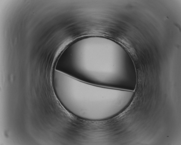X0000097511188200802220858