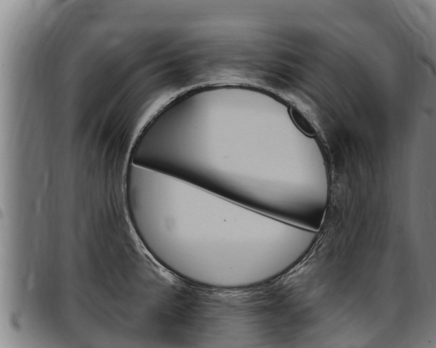 X0000097511191200802220858