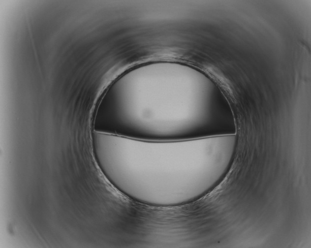 X0000097511192200802220858