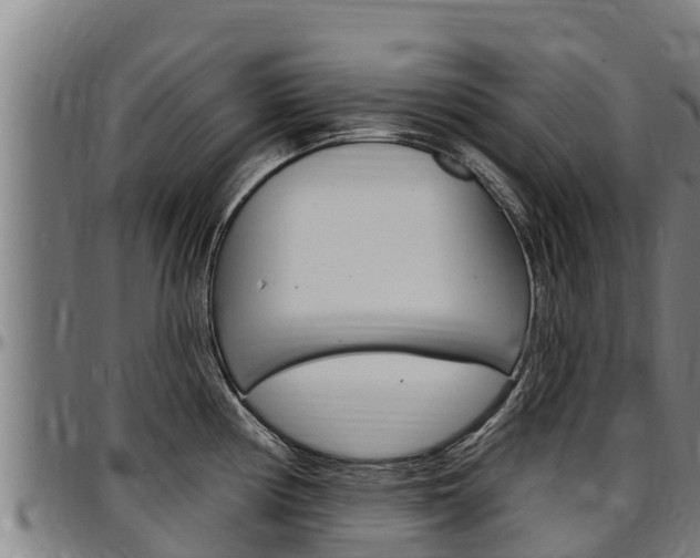 X0000097511194200802220858
