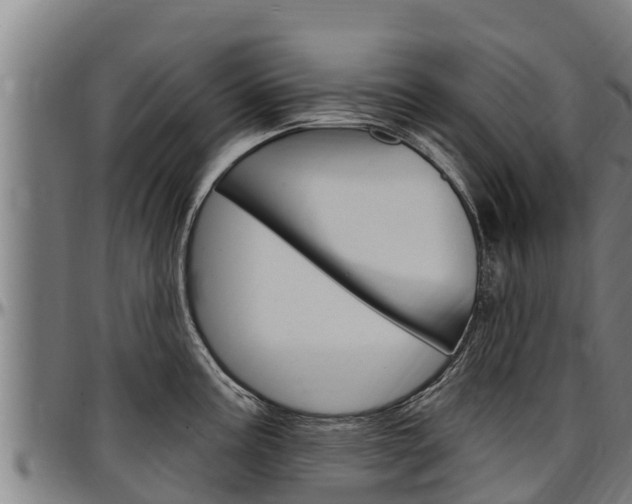 X0000097511195200802220858