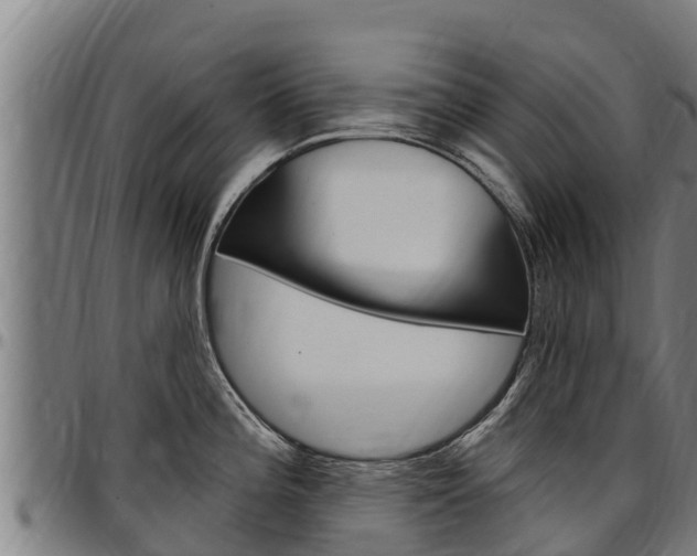 X0000097511196200802220858