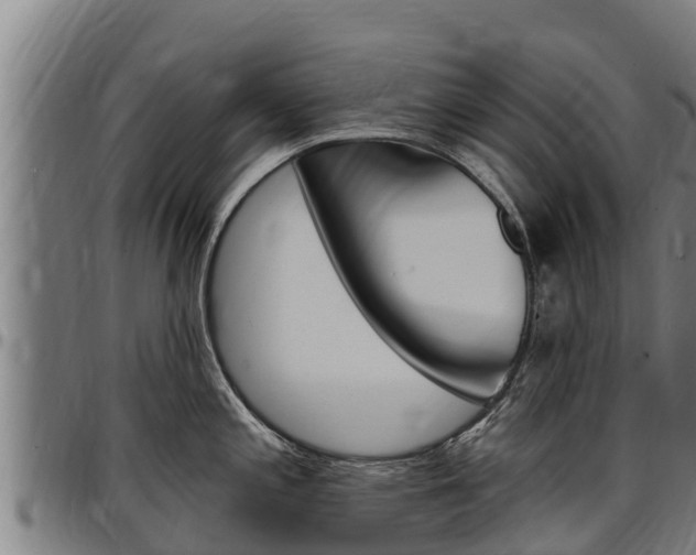 X0000097511197200802220858