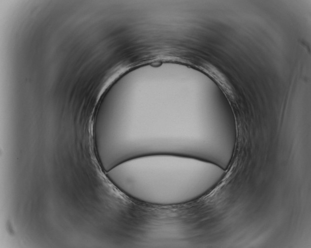X0000097511198200802220858