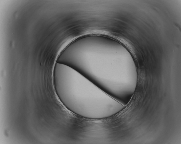X0000097511199200802220858