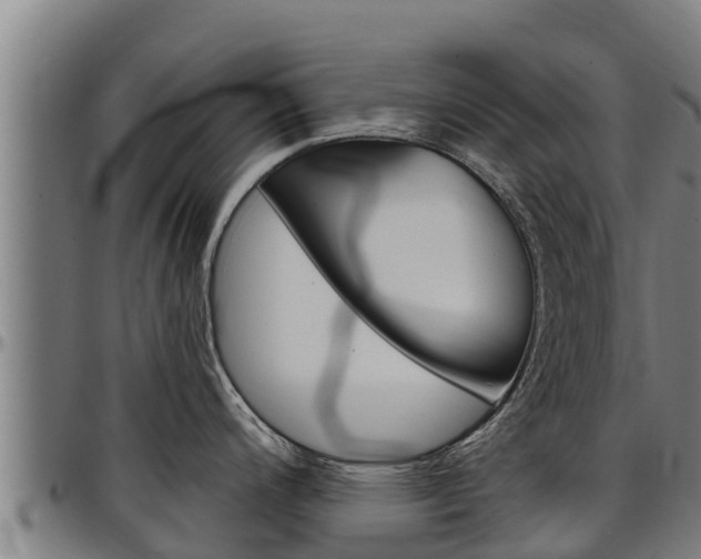 X0000097511200200802220858