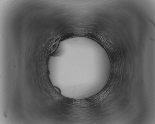 X0000097511201200802220857