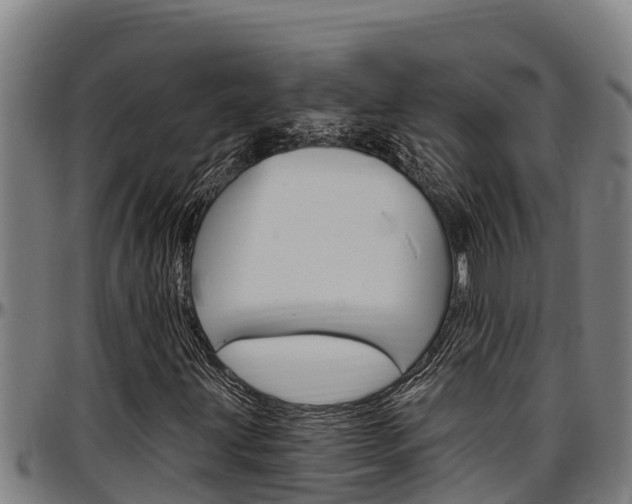 X0000097511203200802220857