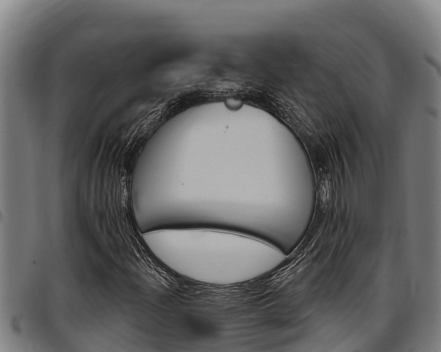 X0000097511204200802220857