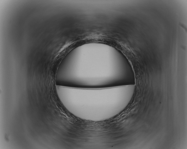 X0000097511206200802220857