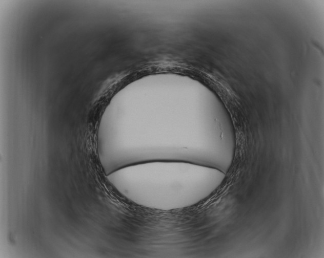 X0000097511207200802220857