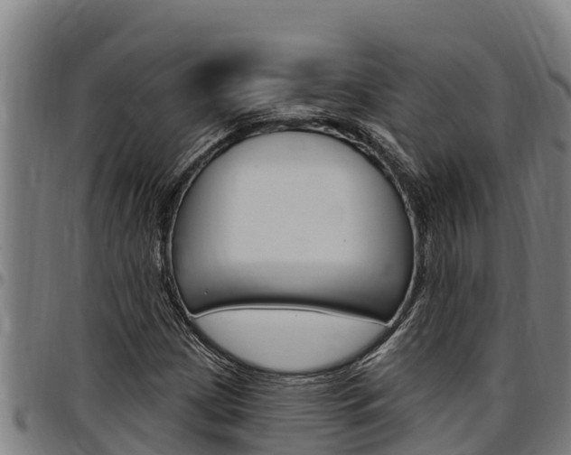 X0000097511209200802220857