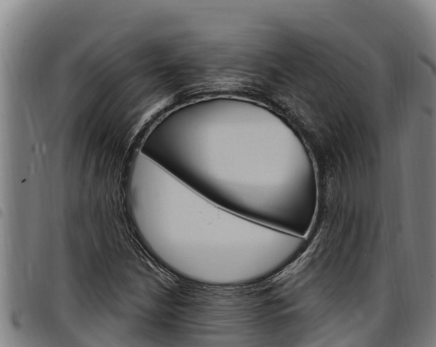 X0000097511210200802220857