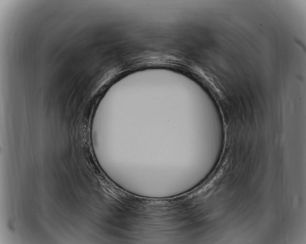 X0000097511211200802220857