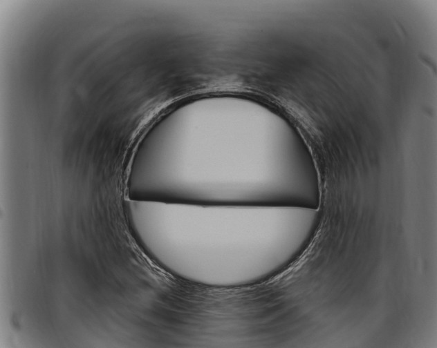 X0000097511212200802220857