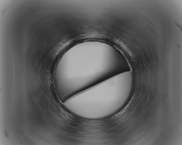 X0000097511213200802220857