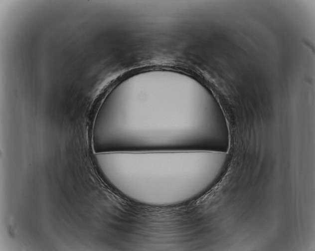 X0000097511214200802220857