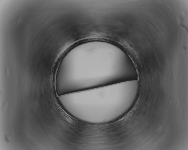 X0000097511216200802220857