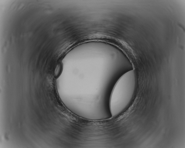 X0000097511217200802220857