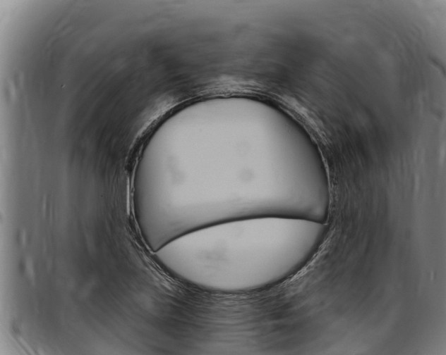 X0000097511219200802220857