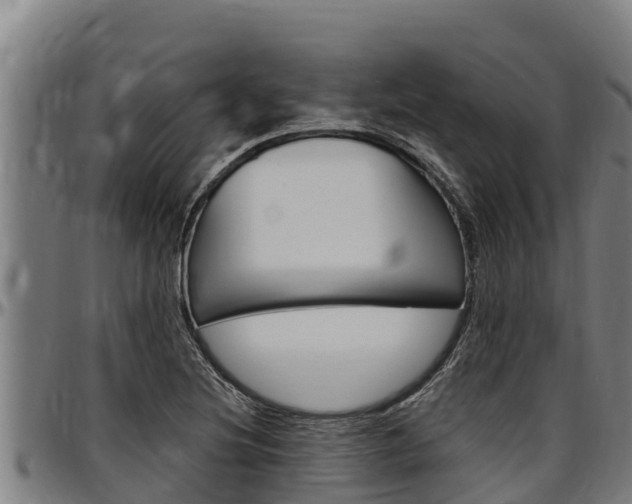X0000097511220200802220857