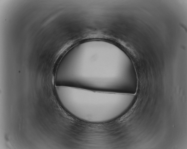 X0000097511221200802220857