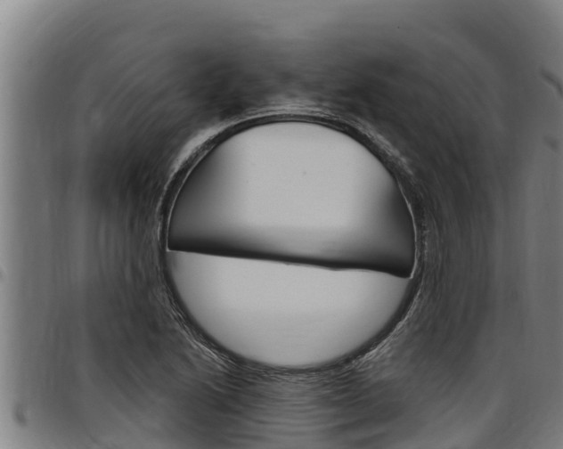X0000097511222200802220857