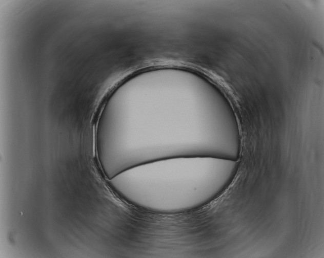 X0000097511223200802220857
