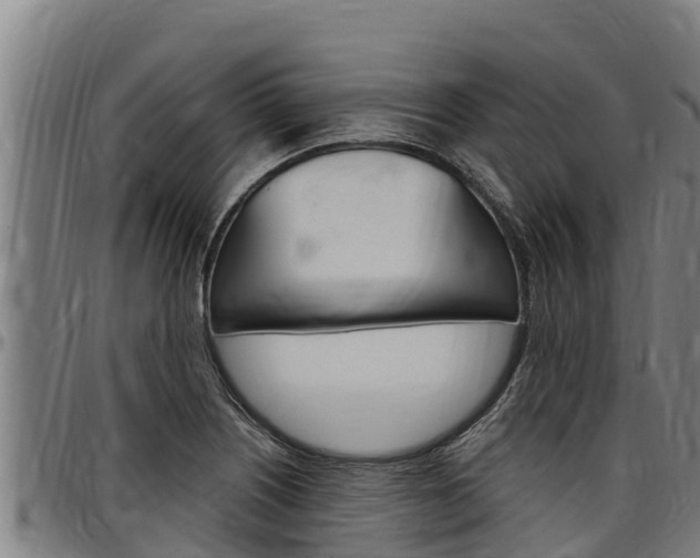 X0000097511226200802220857