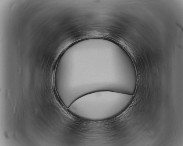 X0000097511227200802220857