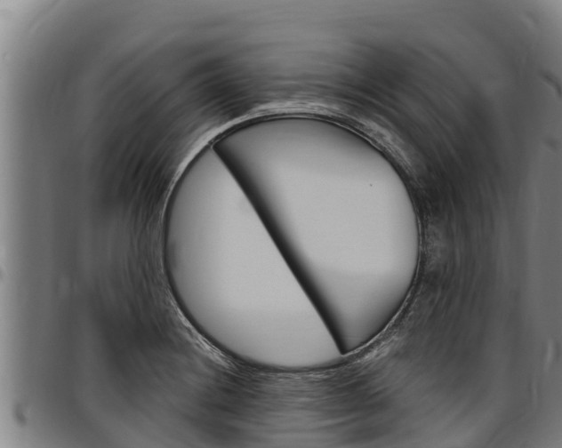 X0000097511228200802220857