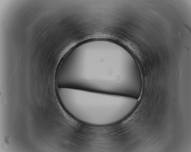 X0000097511229200802220857