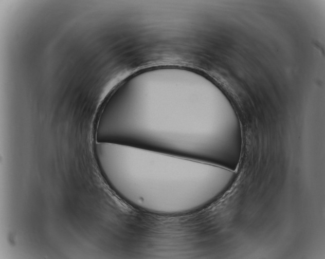 X0000097511230200802220857