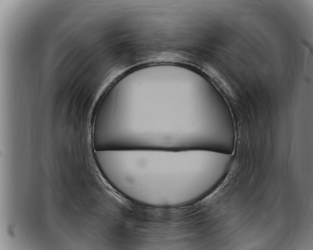 X0000097511232200802220858
